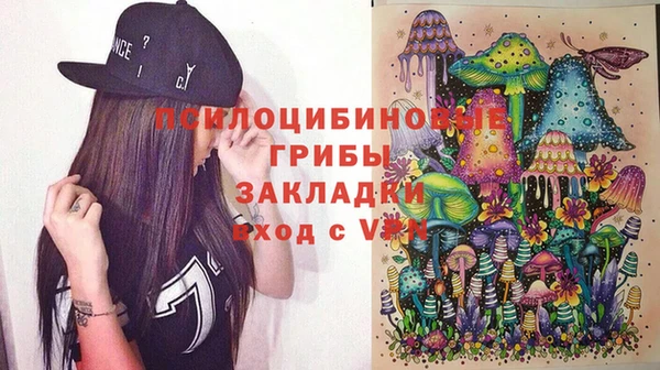 ГАЛЛЮЦИНОГЕННЫЕ ГРИБЫ Алзамай