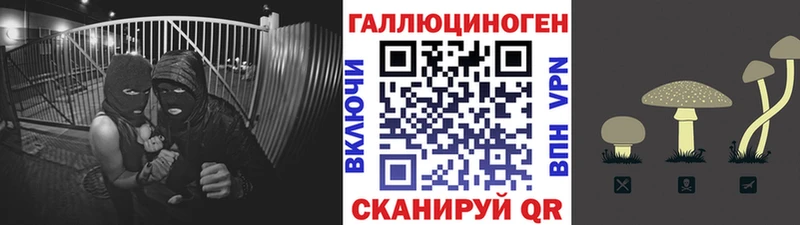 купить  сайты  Бокситогорск  Галлюциногенные грибы Psilocybe 